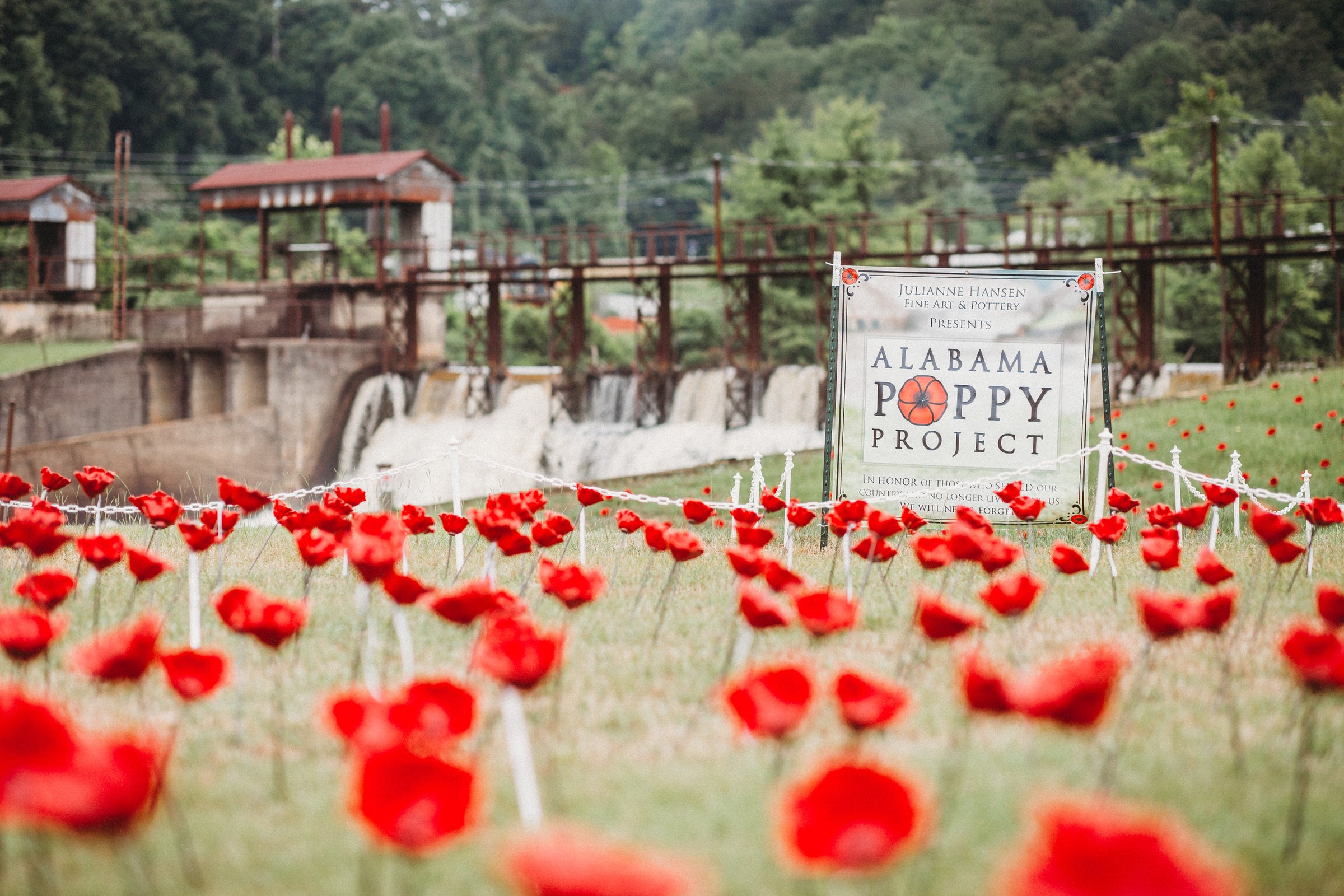 Welcome to the Alabama Poppy Project